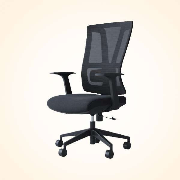 Executive Chair (CES-112R)