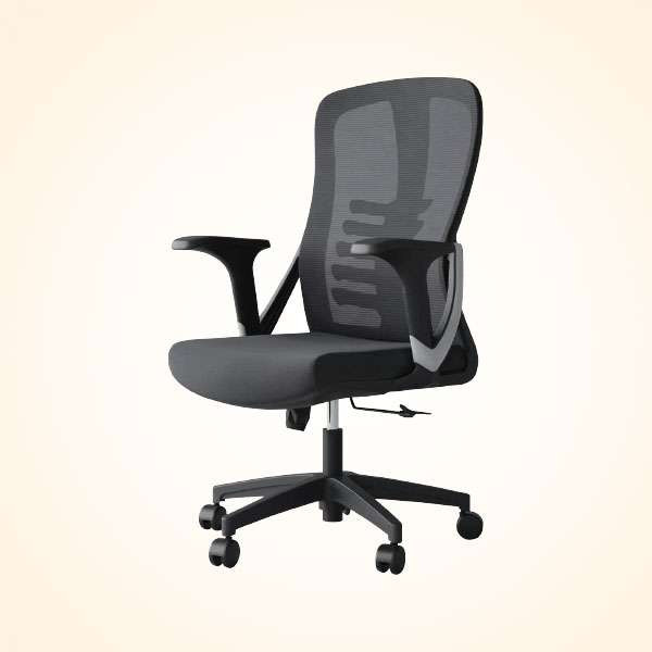 Executive Chair (CES-112R)